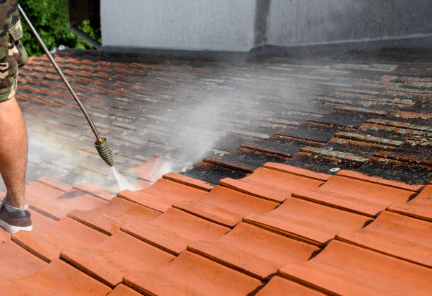 Best Best Pressure Washing Companies  in Middlebury, IN